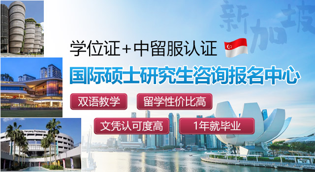 新加坡国际硕士研究生